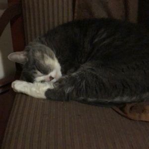 Meet your Posher, Jorge